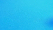Load and play video in Gallery viewer, Baby Hammerhead