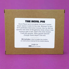 Load image into Gallery viewer, Make Your Own Devil Pigs Kit! Each kit makes 2 Devil Pigs