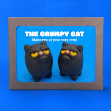 Load image into Gallery viewer, Make Your Own Grumpy Cat Kit! Each kit makes two Grumpy Cats