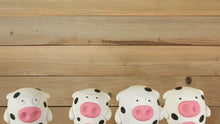 Load and play video in Gallery viewer, Convenience Cow