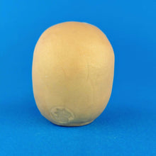 Load image into Gallery viewer, Steve