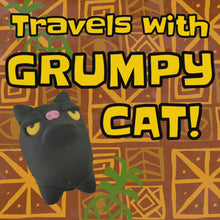 Load and play video in Gallery viewer, Make Your Own Grumpy Cat Kit! Each kit makes two Grumpy Cats
