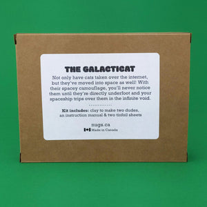Make Your Own Galacticat Kit! Each kit makes two Galacticats
