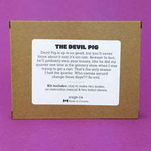 Load image into Gallery viewer, Make Your Own Devil Pigs Kit! Each kit makes 2 Devil Pigs
