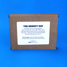 Load image into Gallery viewer, Make Your Own Grumpy Cat Kit! Each kit makes two Grumpy Cats

