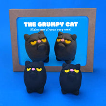 Load image into Gallery viewer, Make Your Own Grumpy Cat Kit! Each kit makes two Grumpy Cats

