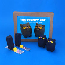 Load image into Gallery viewer, Make Your Own Grumpy Cat Kit! Each kit makes two Grumpy Cats
