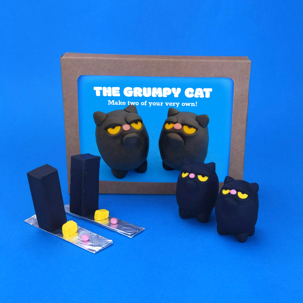 Make Your Own Grumpy Cat Kit! Each kit makes two Grumpy Cats