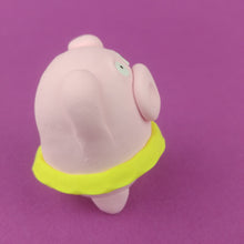 Load image into Gallery viewer, Ballerina Pig
