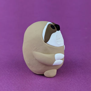 The Tiny Two-Toed Sloth